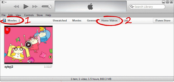 your video on iTunes 11