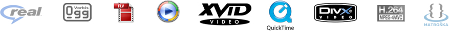 Quicktime - divx - xvid - windows media video - Mpeg 4 - Real - Vorbis - FLV - Matroska